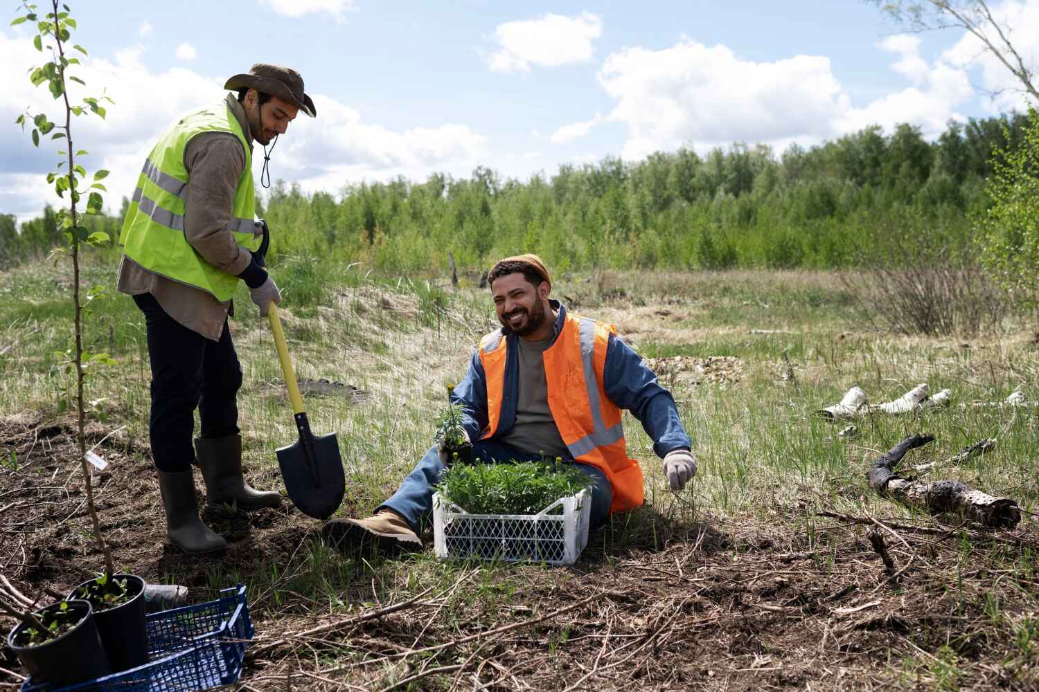 Best Tree Care Services  in Evart, MI